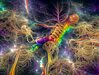 Surreal psychedelic image of a nervous system floating in space emitting rainbow(1).jpg
